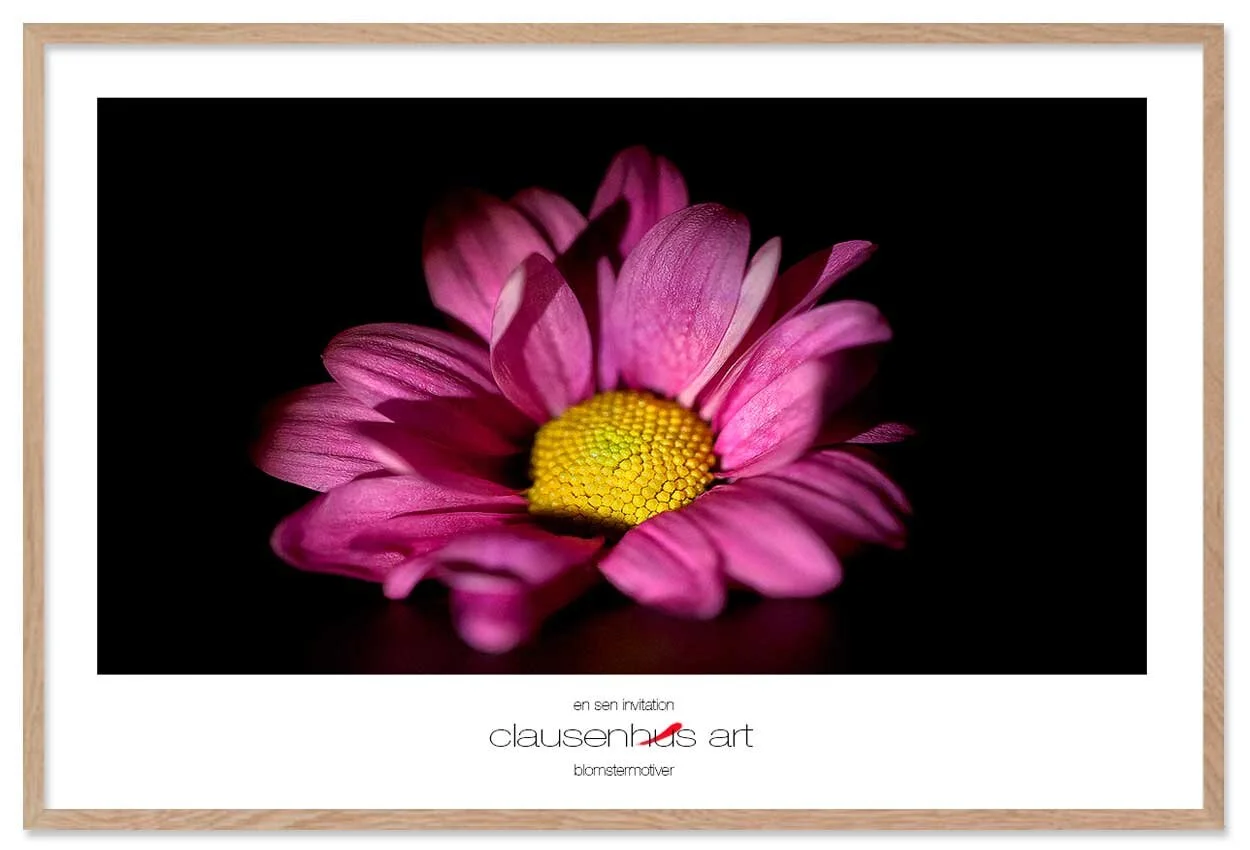 en-sen-invitation-copy.jpg