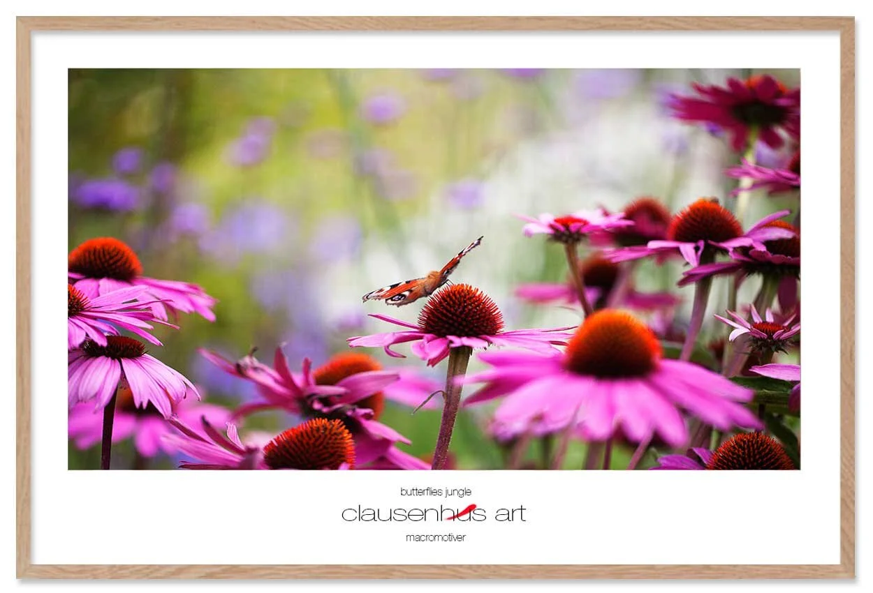 butterflies-jungle-copy.jpg