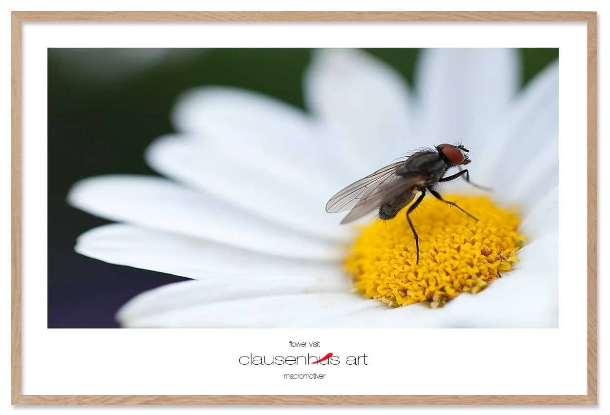 flower-visit-copy.jpg