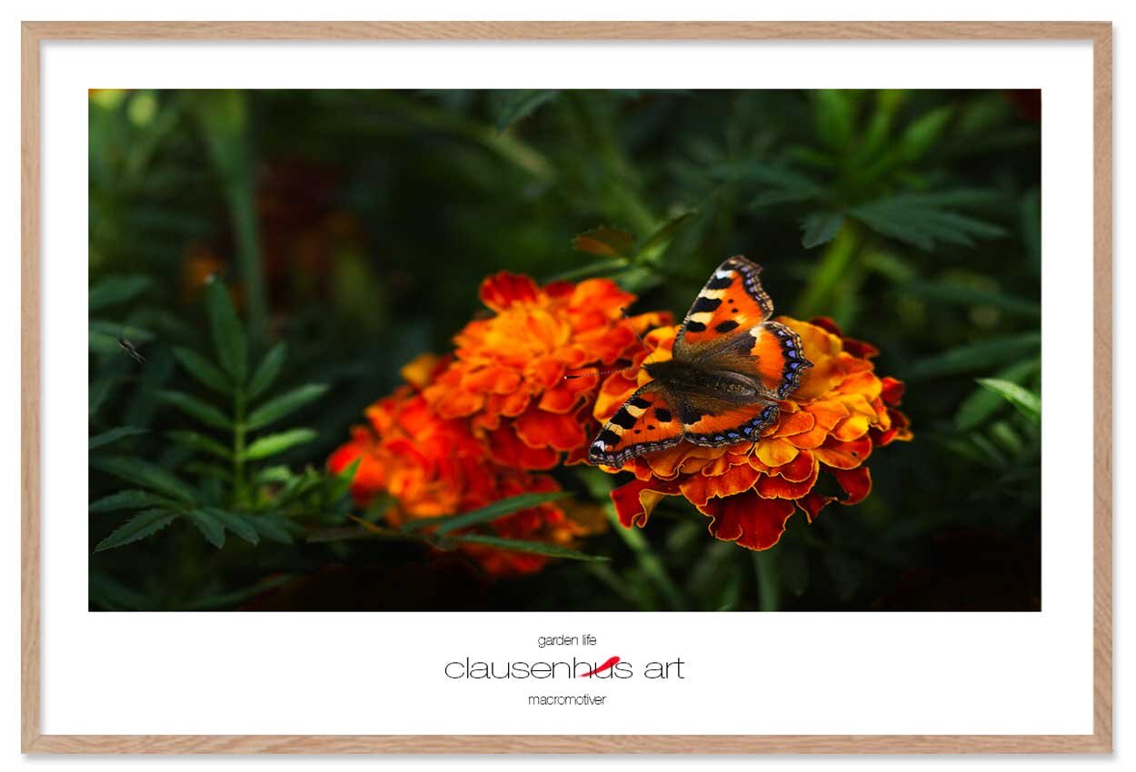 garden-life-copy.jpg