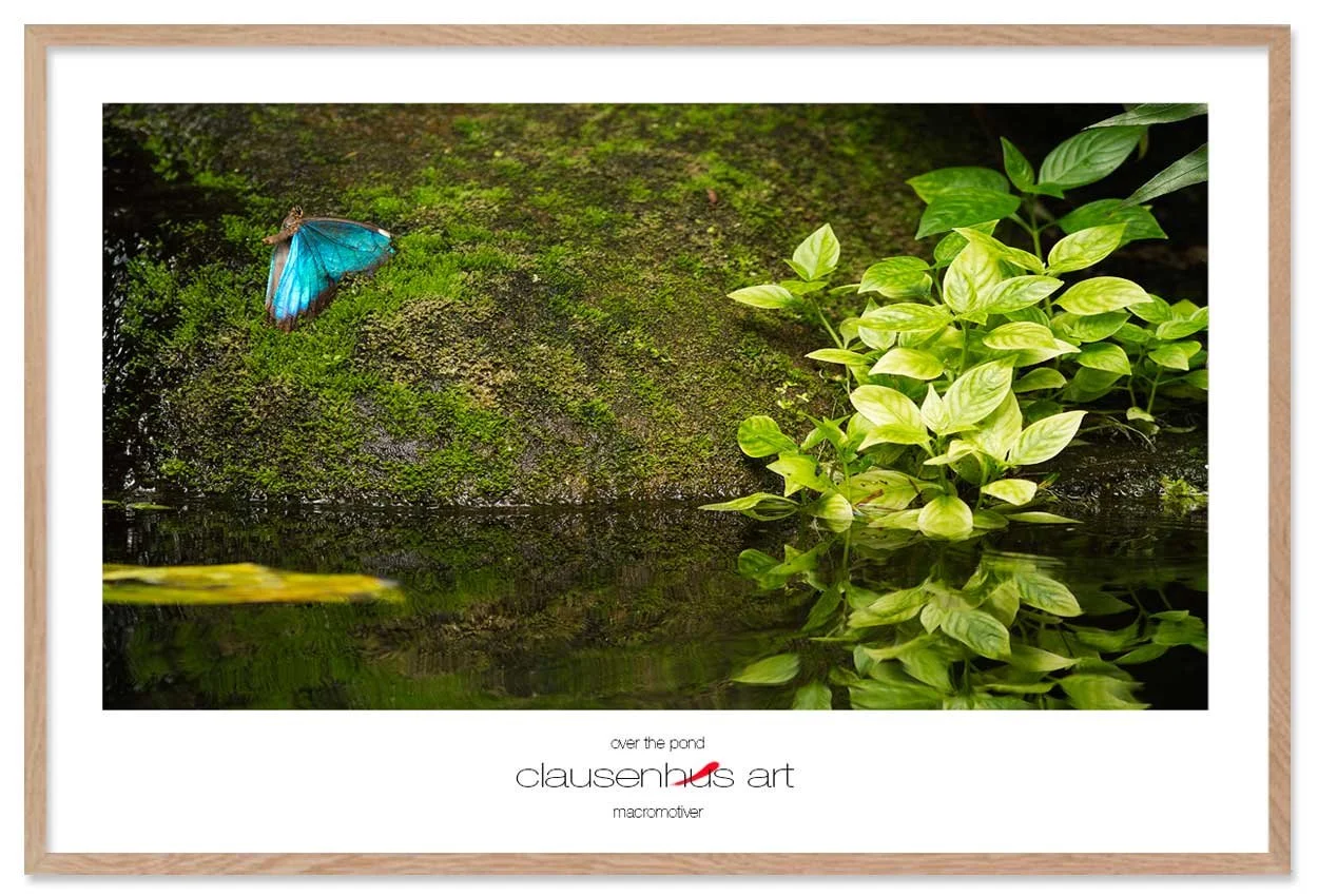 over-the-pond-copy.jpg