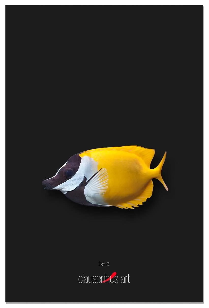fish-3-copy.jpg
