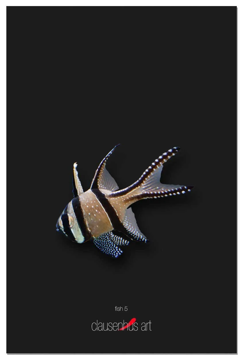 fish-5-copy.jpg