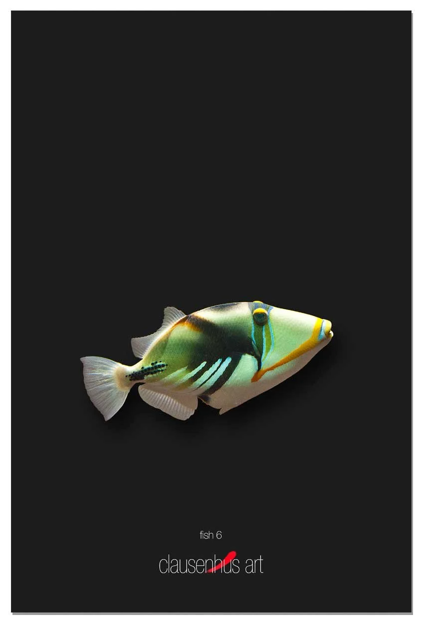 fish-6-copy.jpg