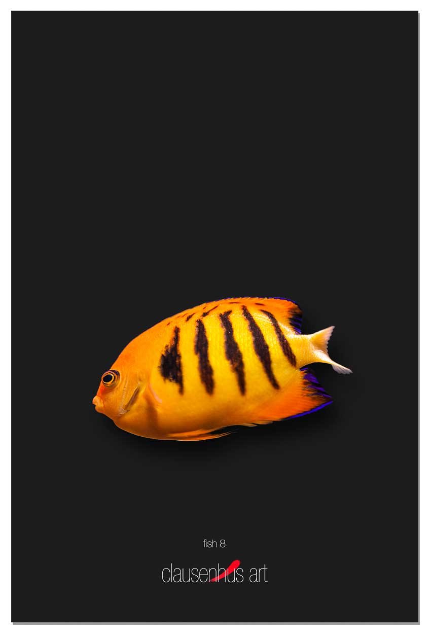 fish-8-copy.jpg