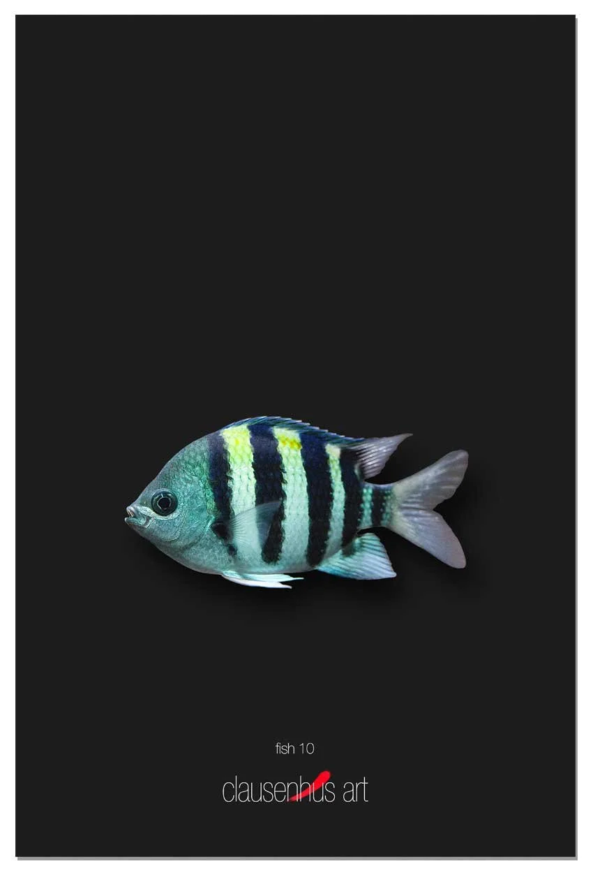 fish-10.jpg