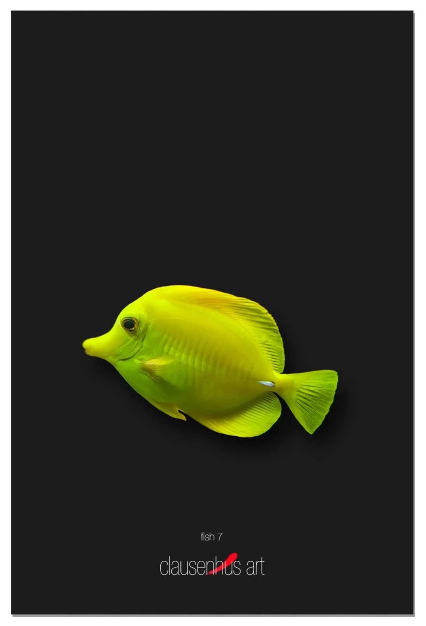 fish-7-copy.jpg