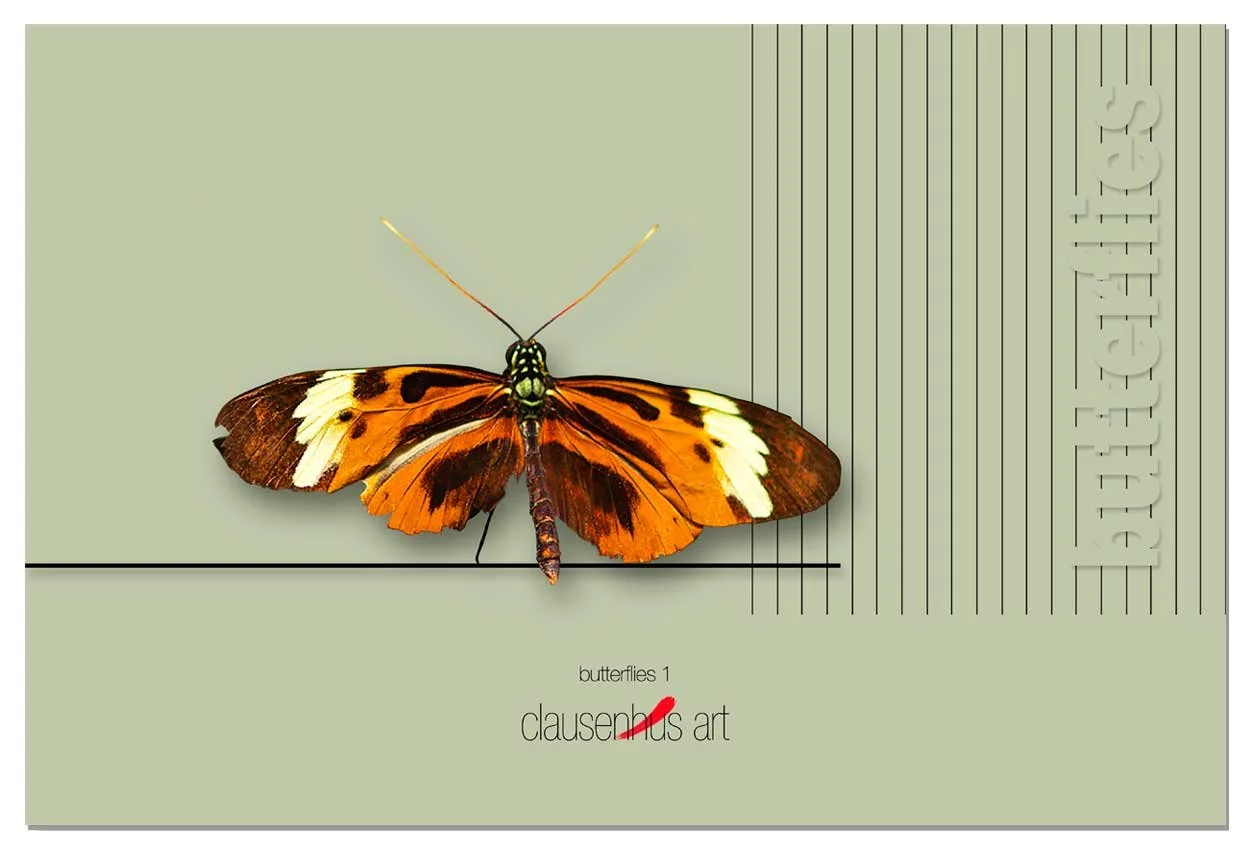 butterflies-1.jpg