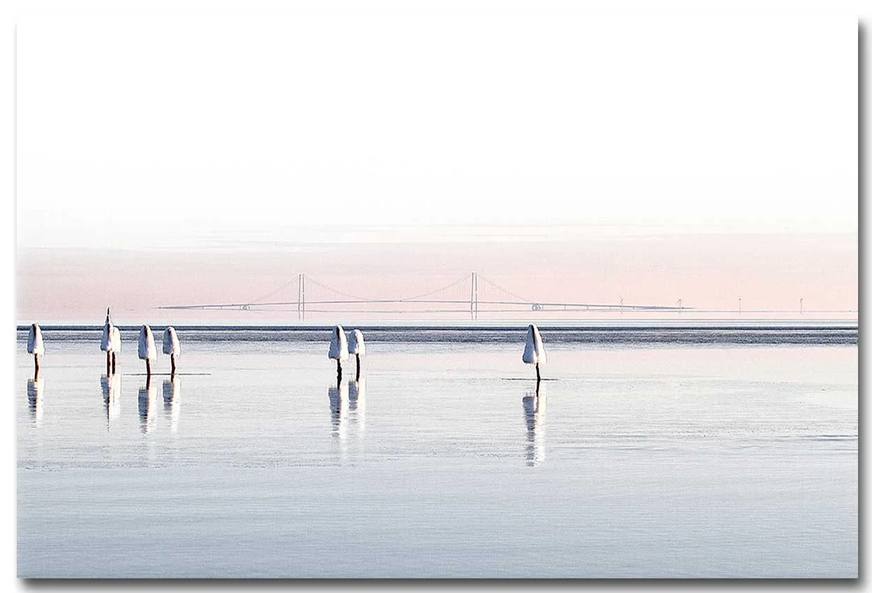 winter-bridge-copy.jpg