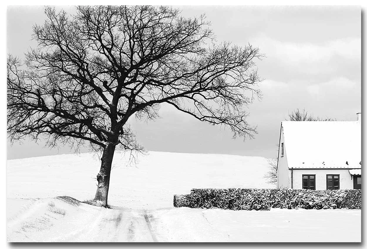 winter-season-copy.jpg
