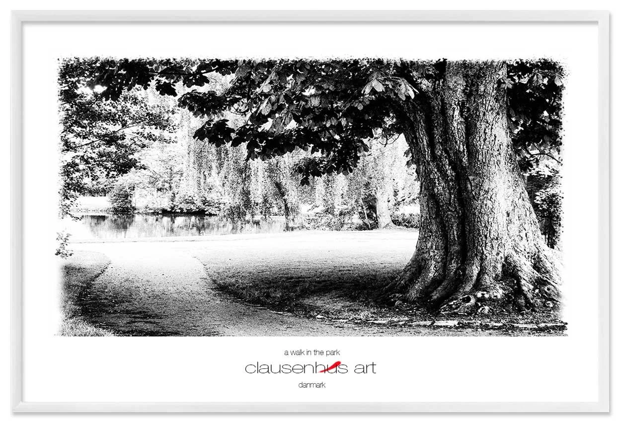 a-walk-in-the-park-copy.jpg