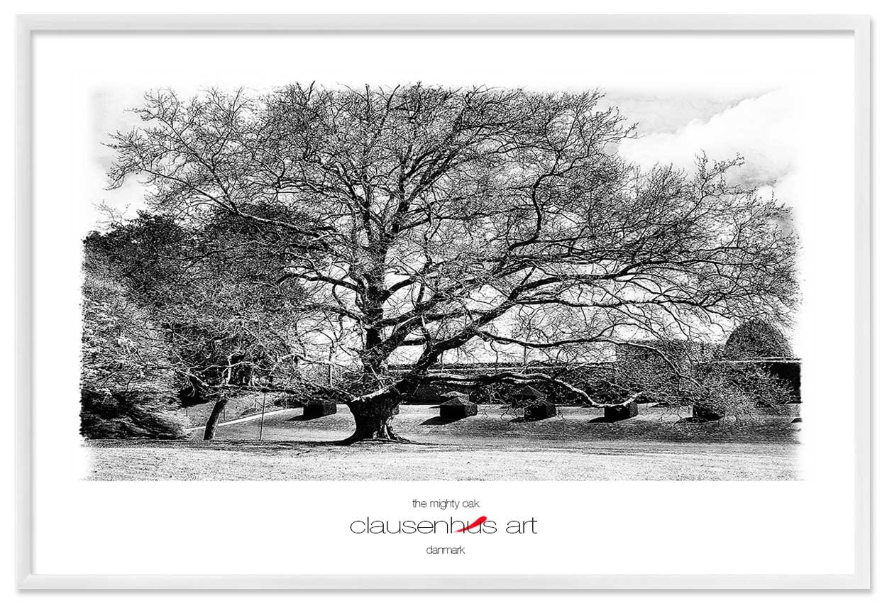 the-mighty-oak-copy.jpg