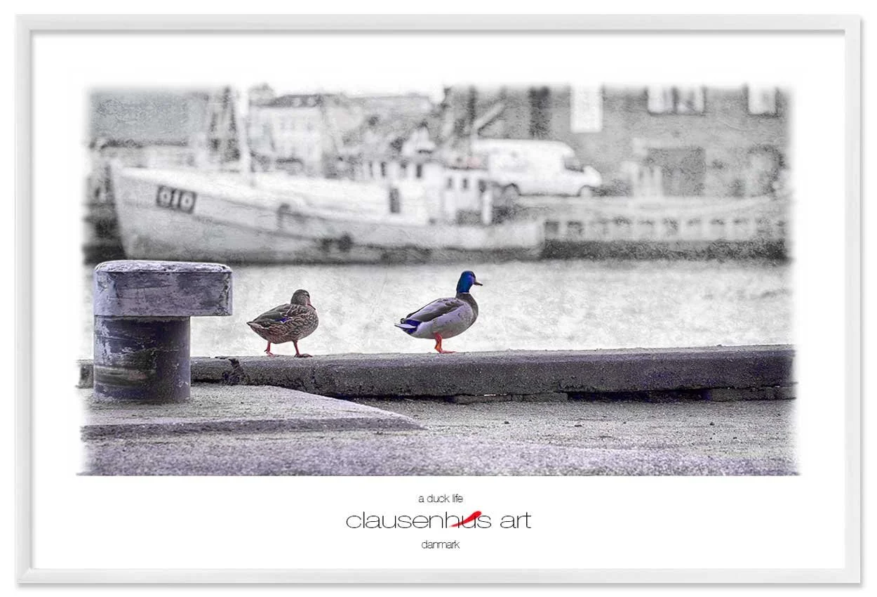 a-duck-life-copy.jpg