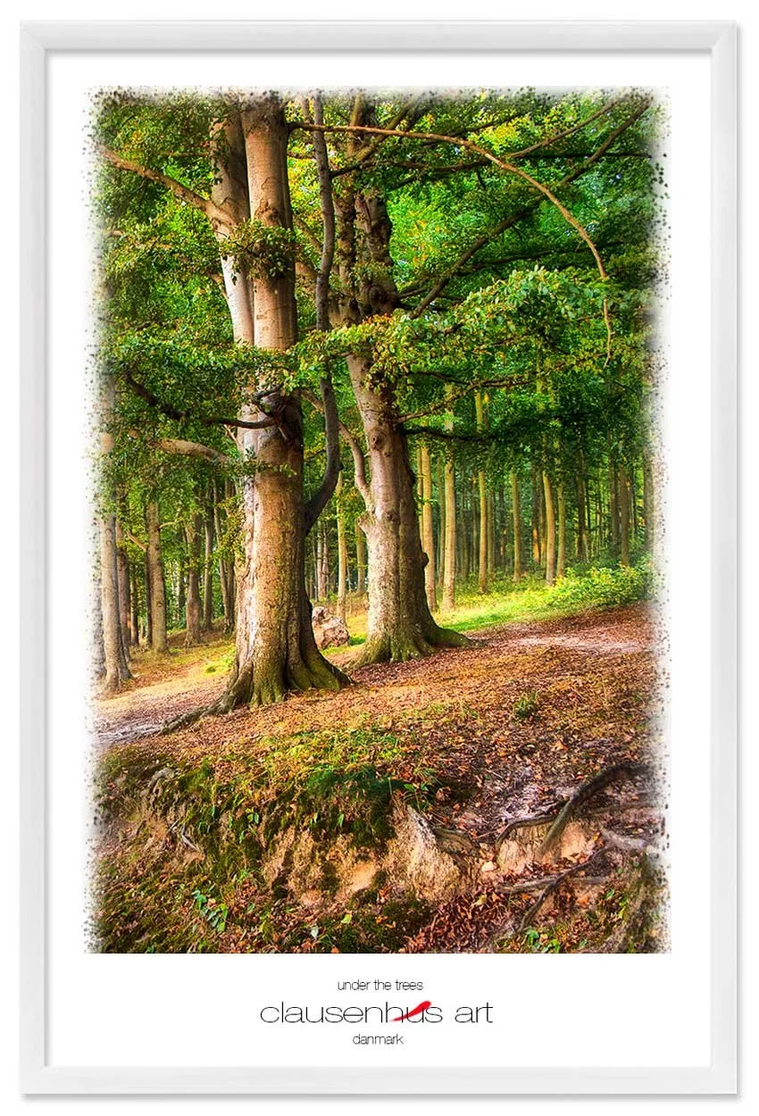 under-the-trees-copy.jpg