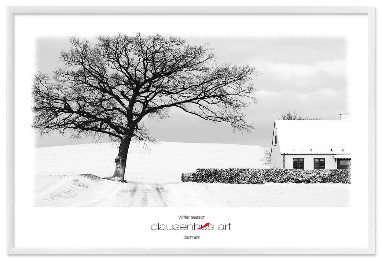 winter-season-copy.jpg
