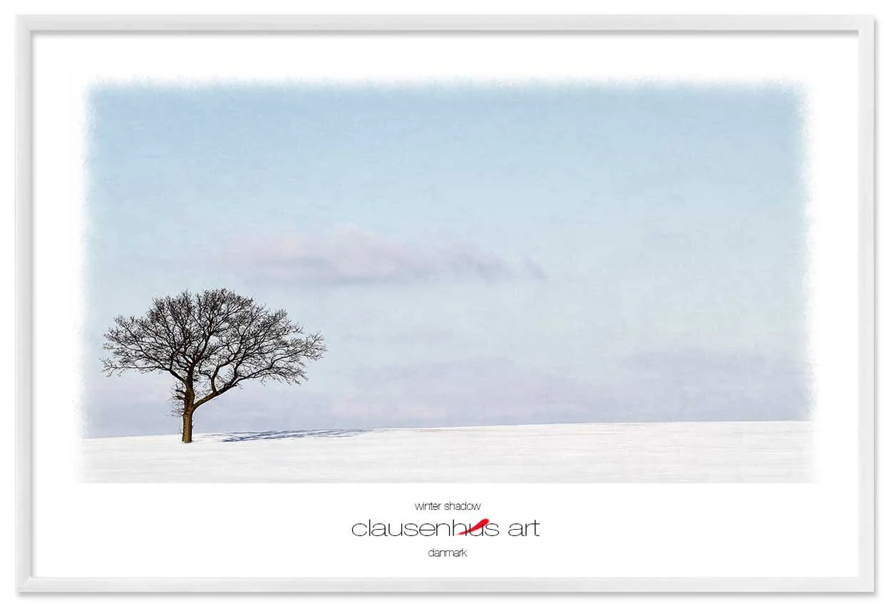 winter-shadow-copy.jpg