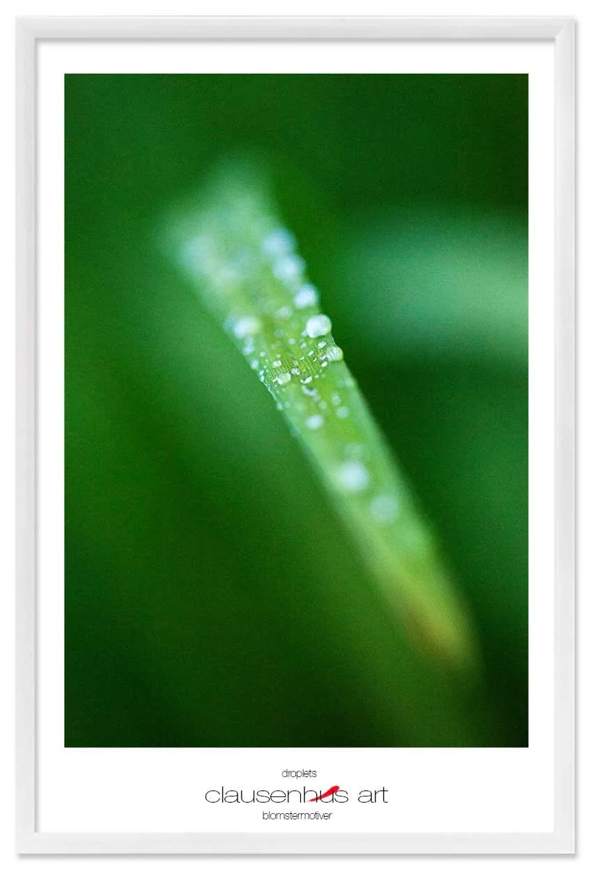 droplets-copy.jpg
