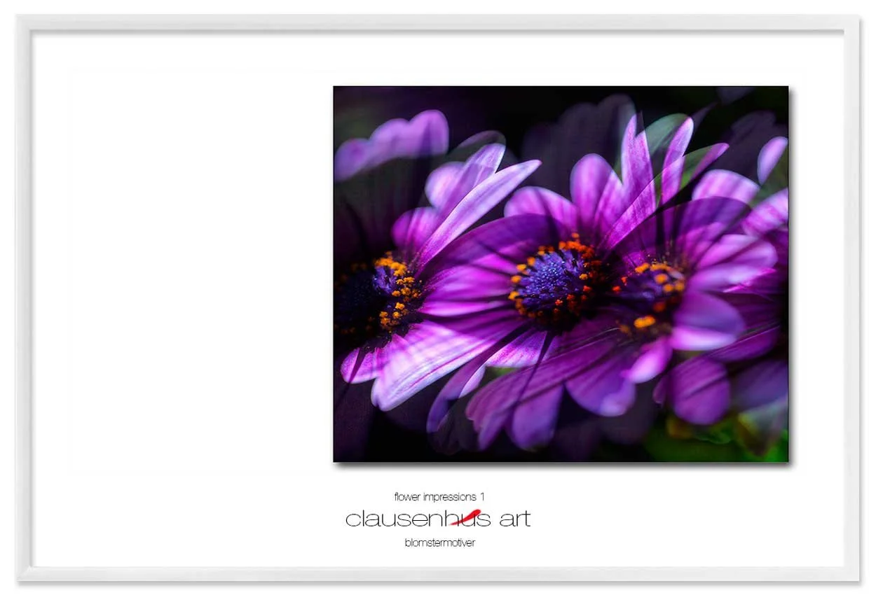 flower-impressions-1-copy.jpg