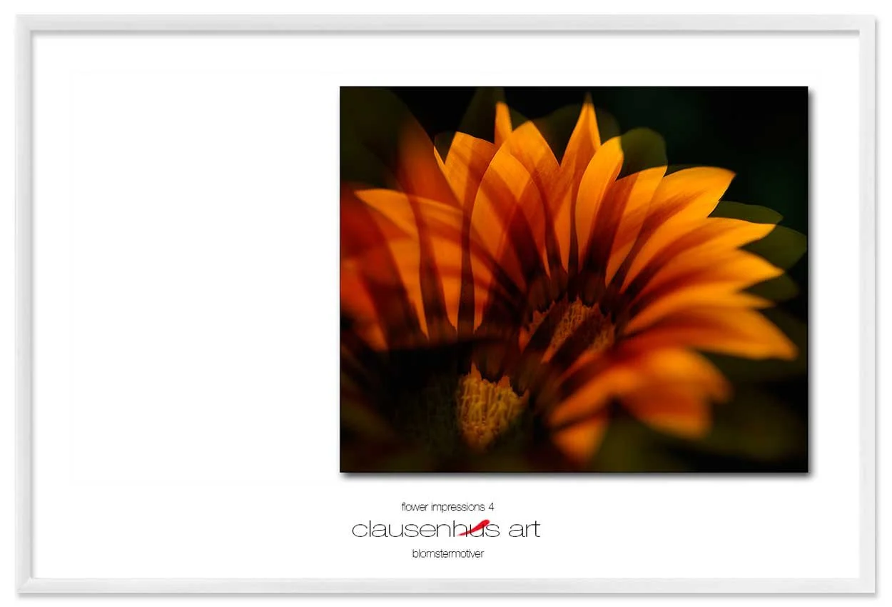 flower-impressions-4-copy.jpg