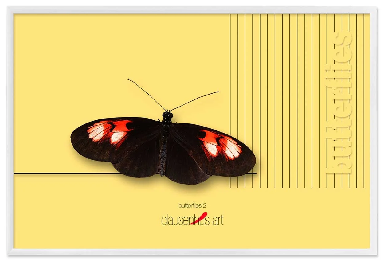 butterflies-2-copy.jpg