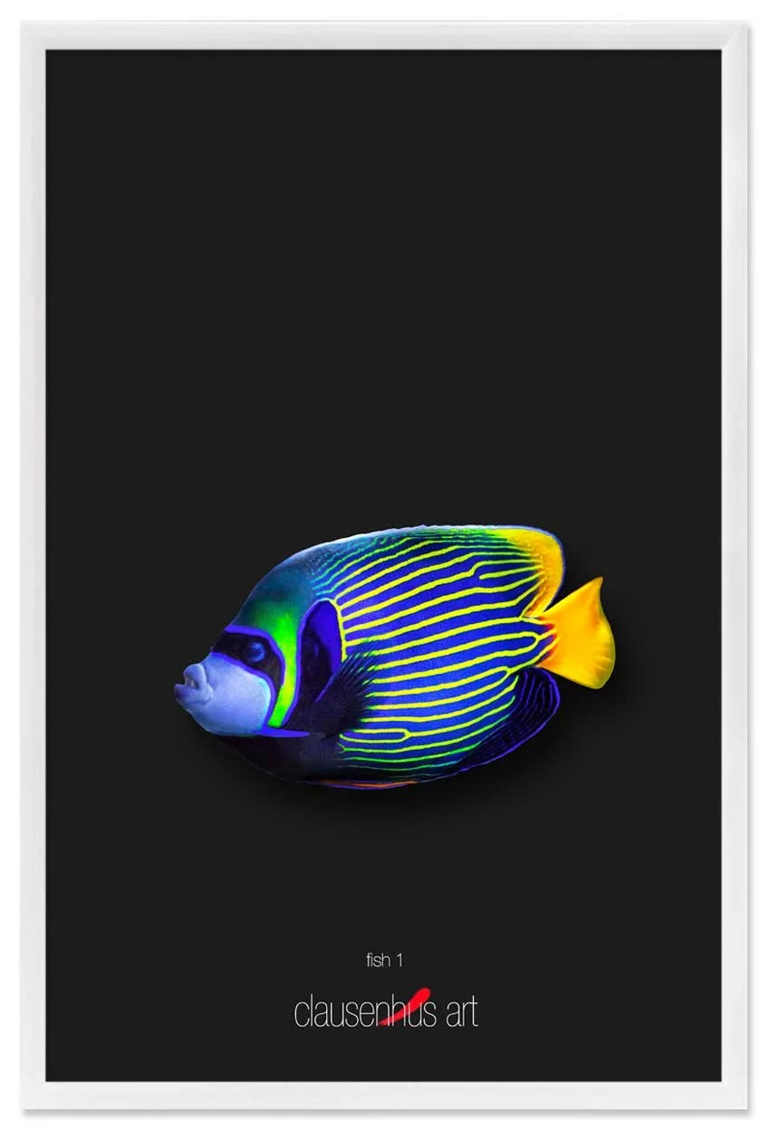 fish-1-copy.jpg