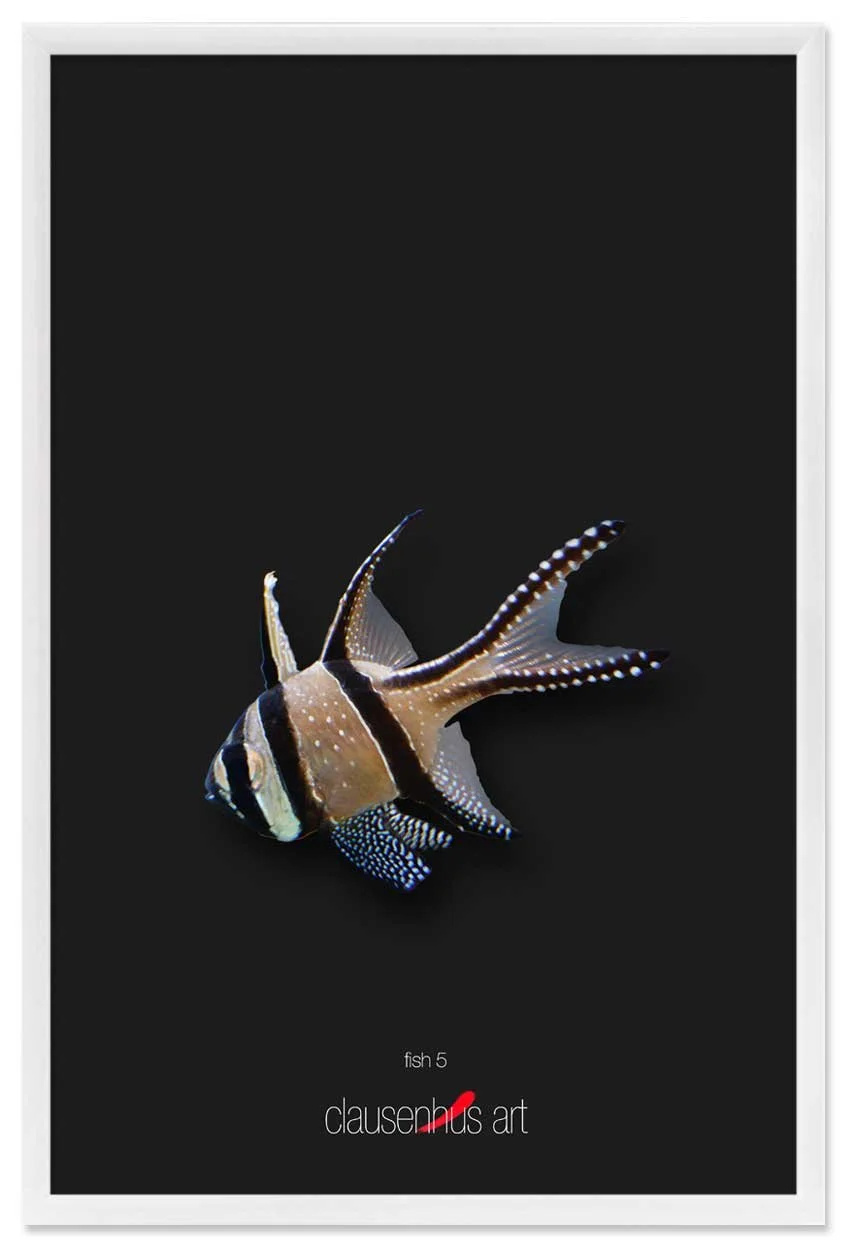 fish-5-copy.jpg