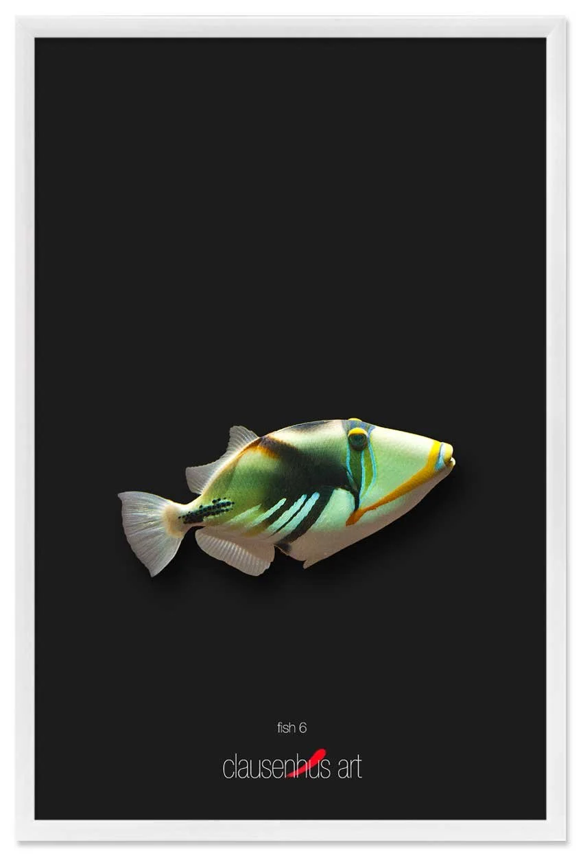 fish-6-copy.jpg