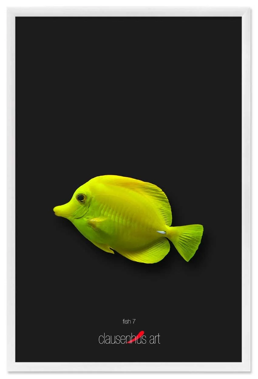 fish-7-copy.jpg