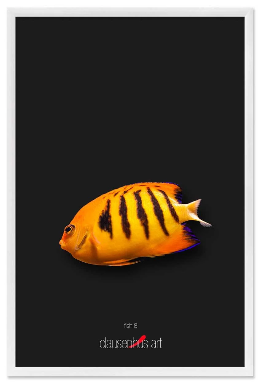 fish-8-copy.jpg