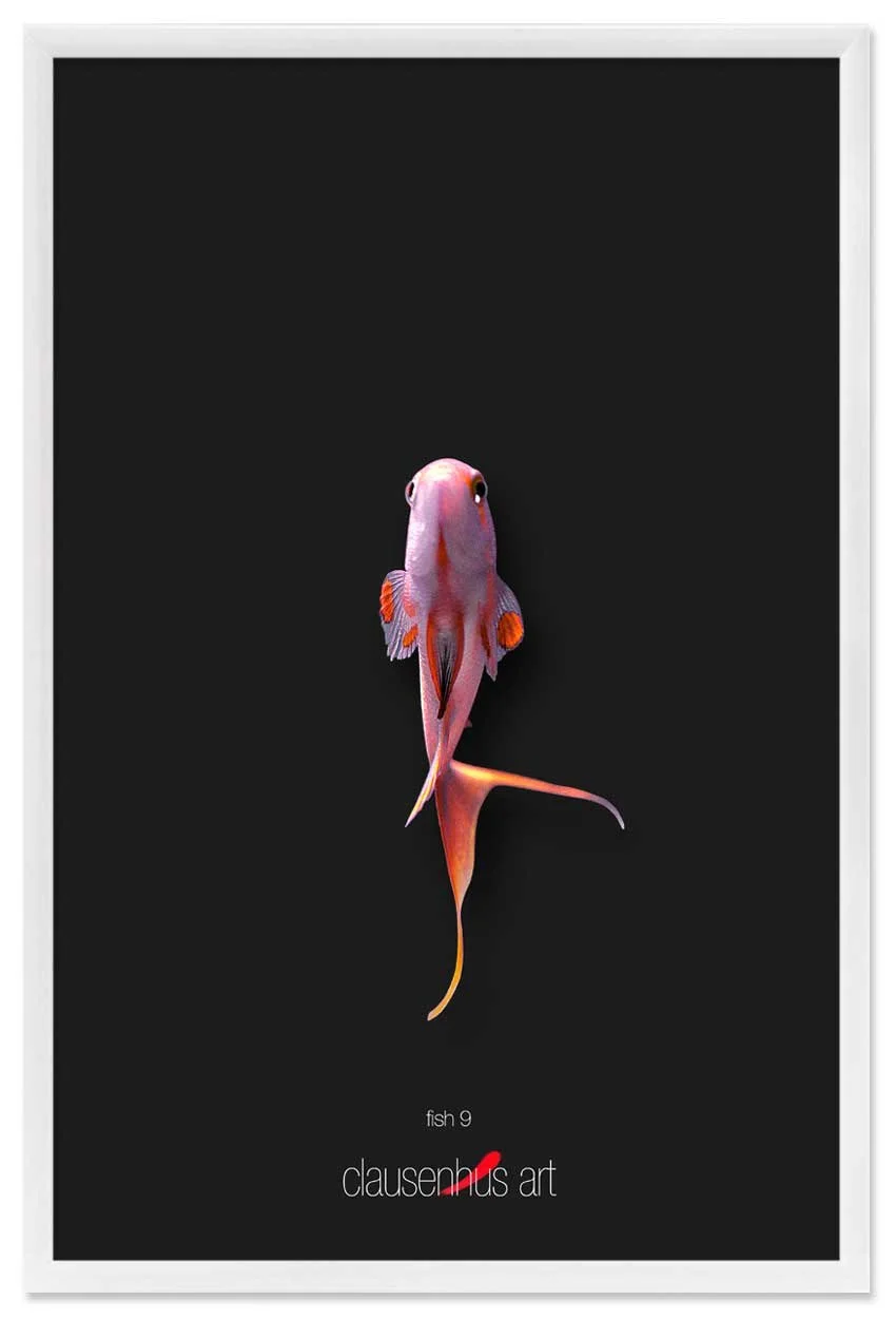 fish-9-copy.jpg