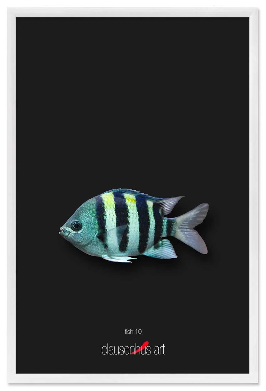 fish-10-copy.jpg