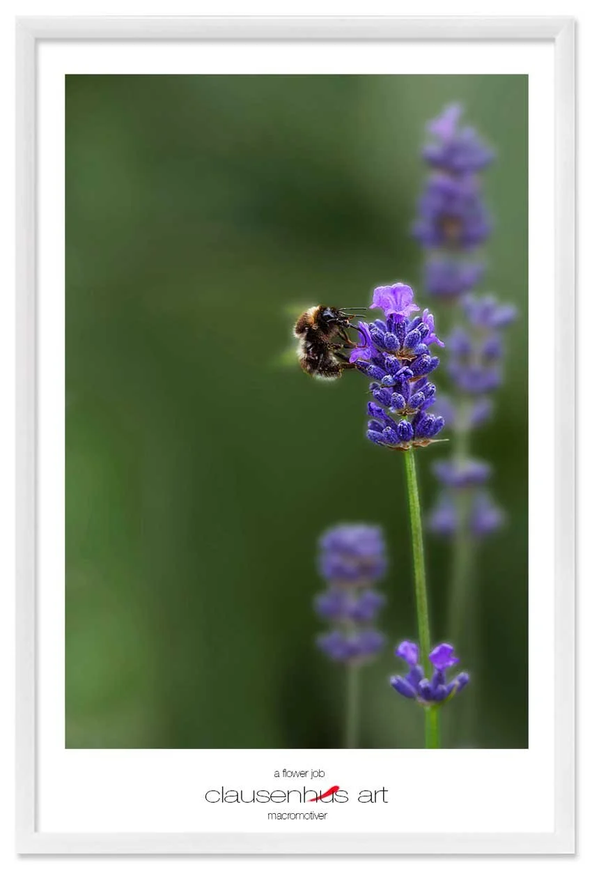 a-flower-job-copy.jpg