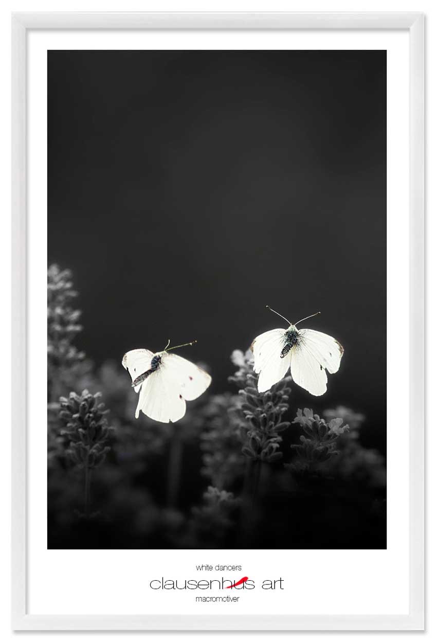 white-dancers-copy.jpg