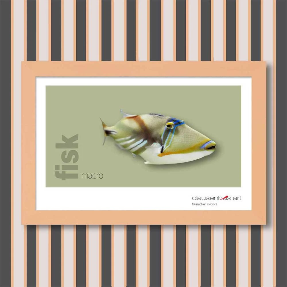 fiskemotiv-9-copy.jpg