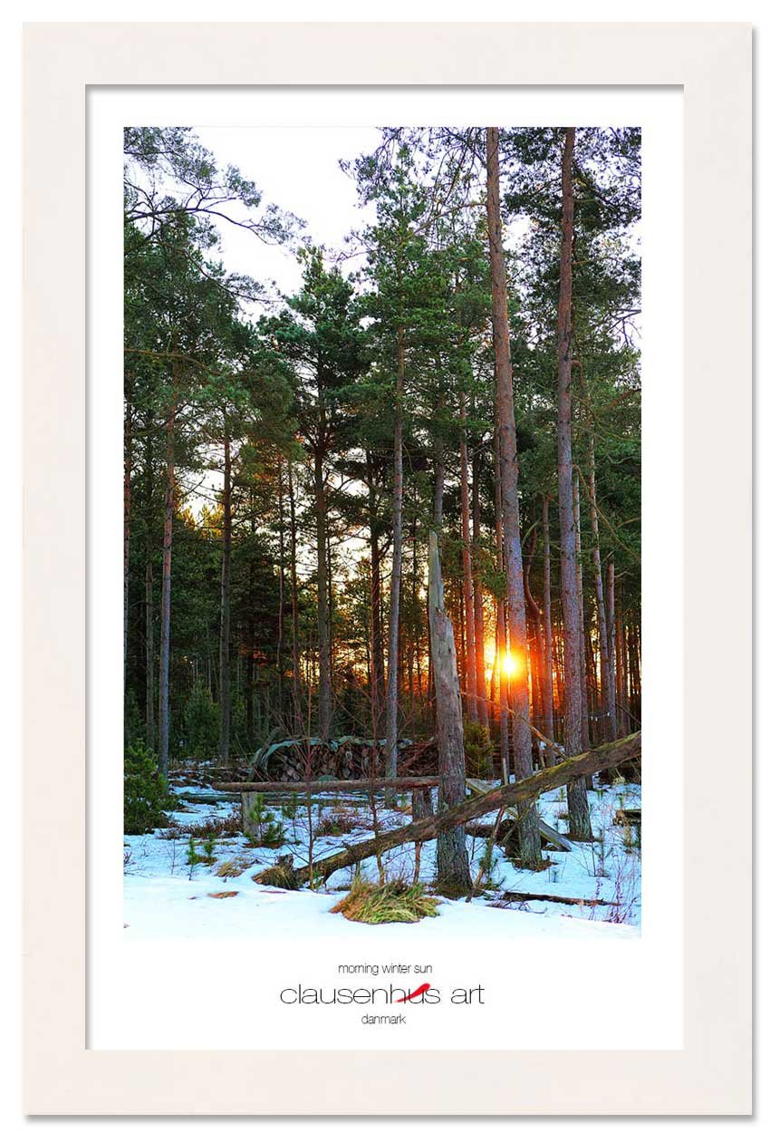 morning-winter-sun-copy.jpg