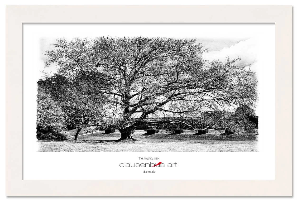 the-mighty-oak-copy.jpg