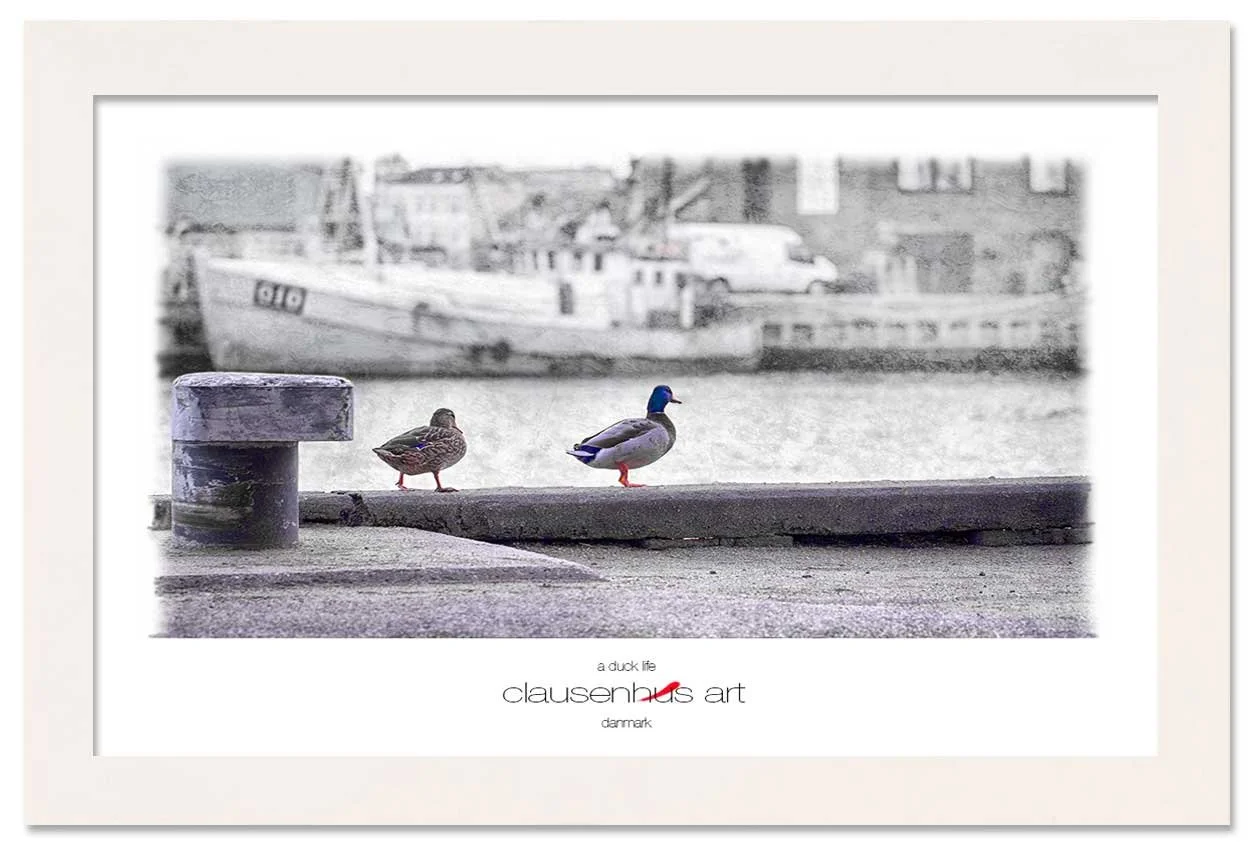 a-duck-life-copy.jpg