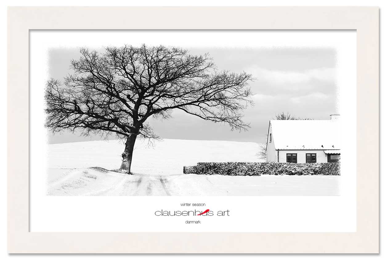 winter-season-copy.jpg