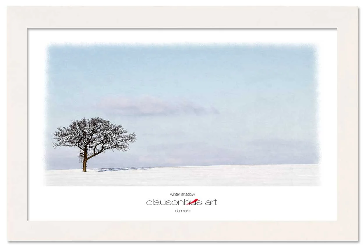 winter-shadow-copy.jpg