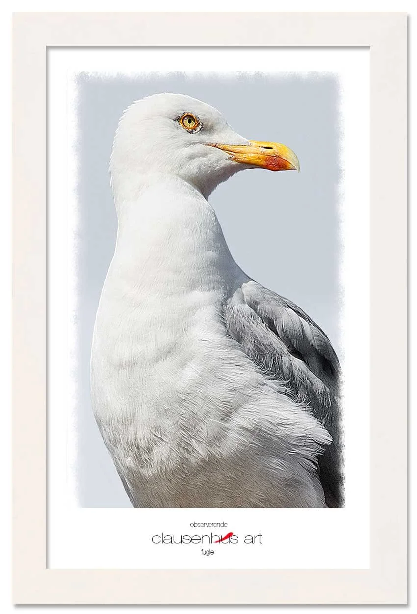 observerende-copy.jpg