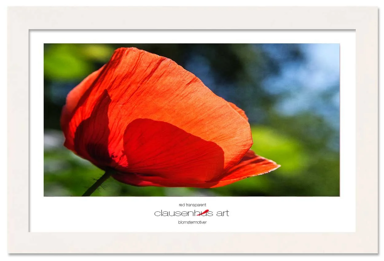 red-transparent-copy.jpg