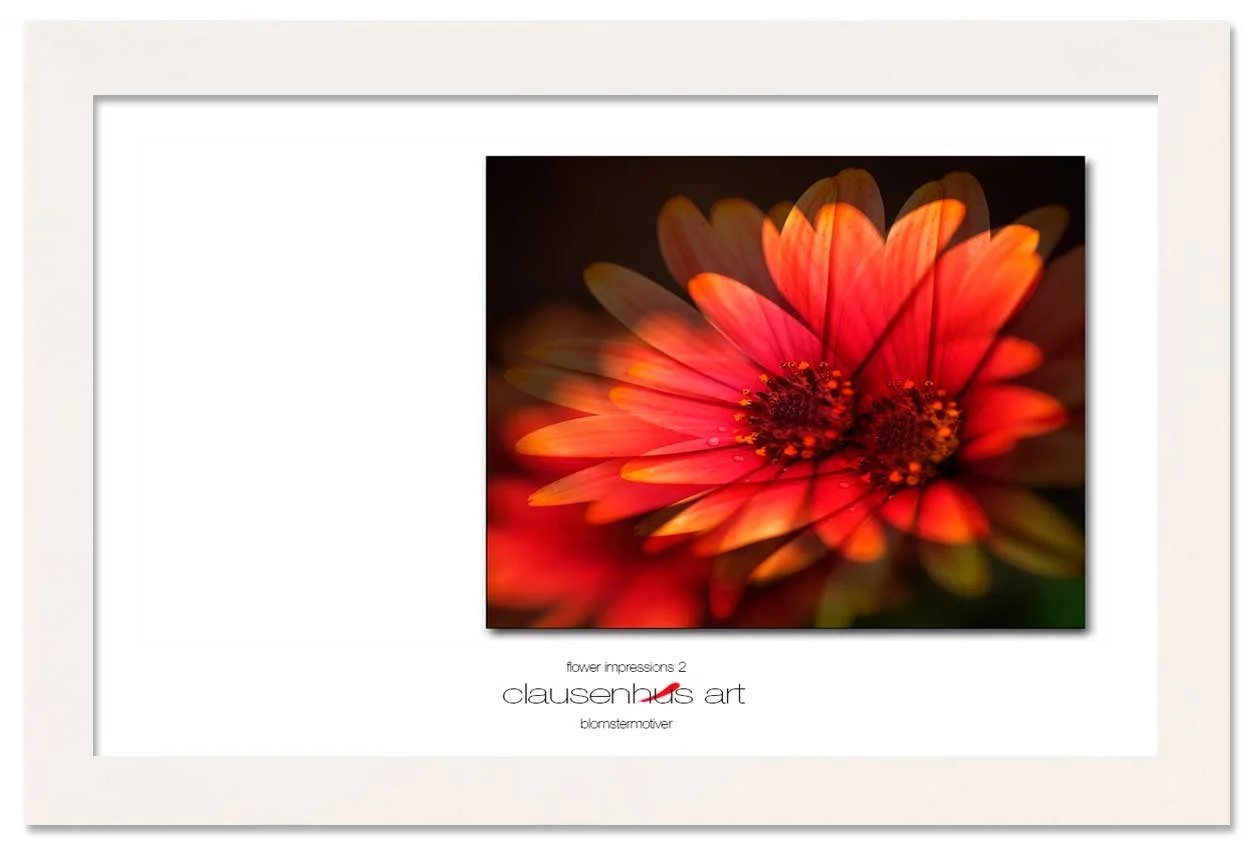 flower-impressions-2-copy.jpg