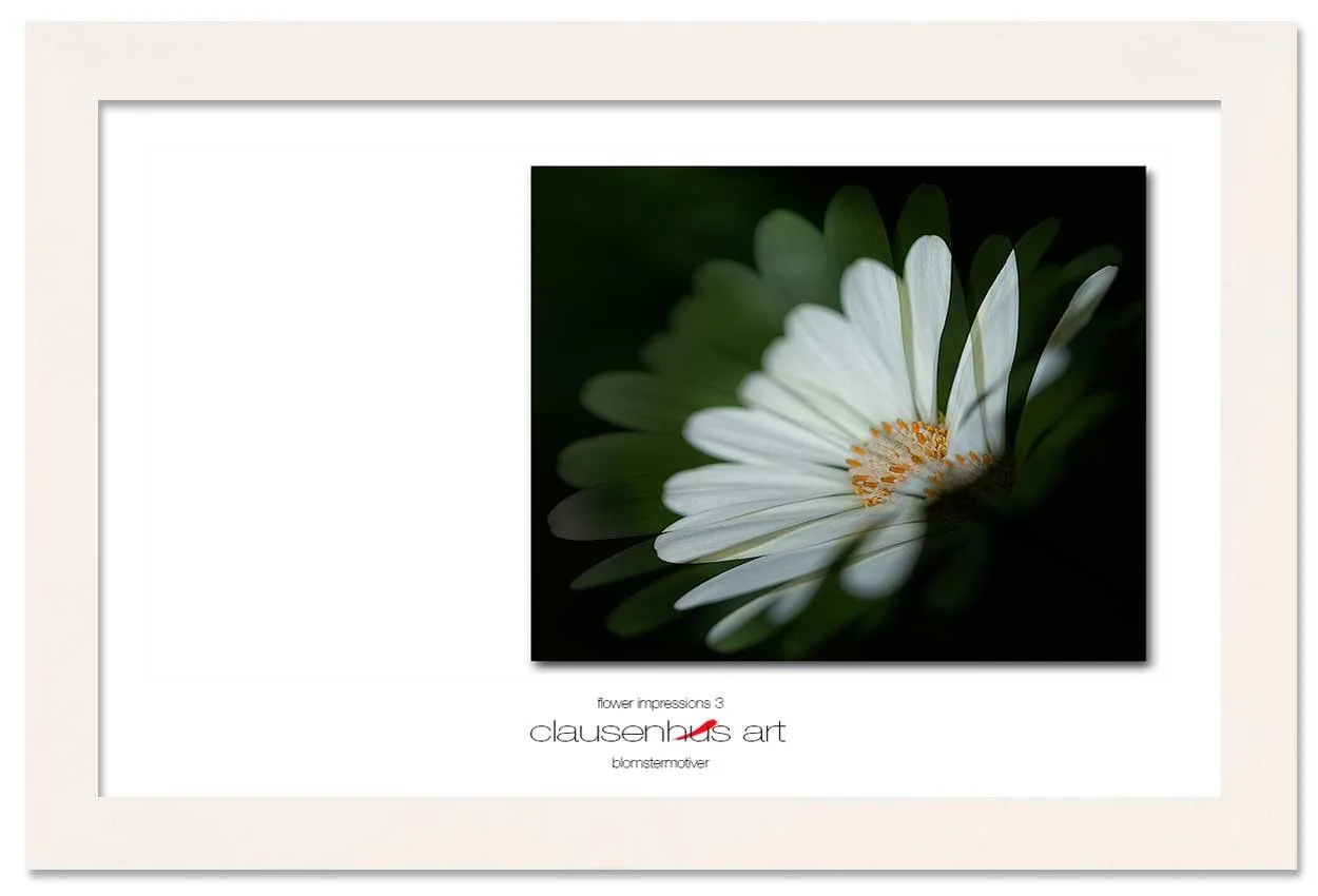 flower-impressions-3-copy.jpg