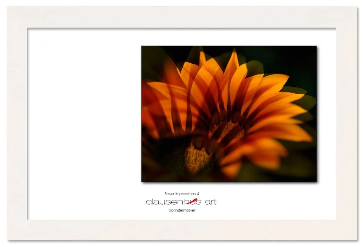 flower-impressions-4-copy.jpg