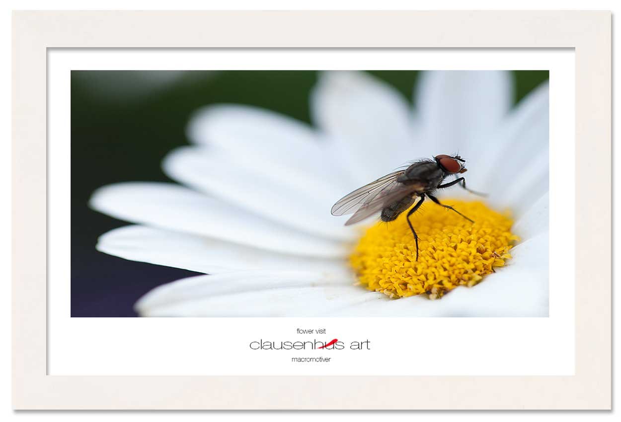 flower-visit-copy.jpg