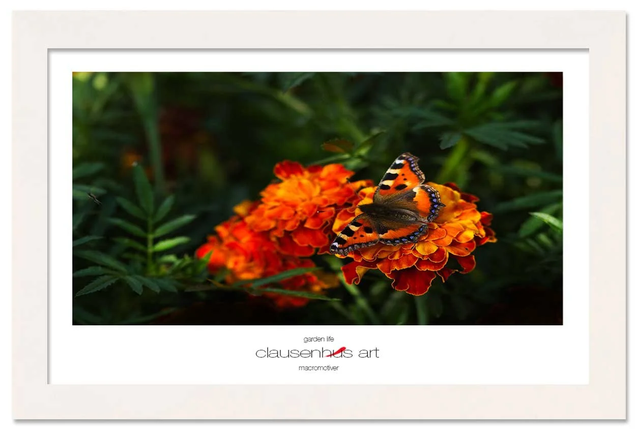 garden-life-copy.jpg
