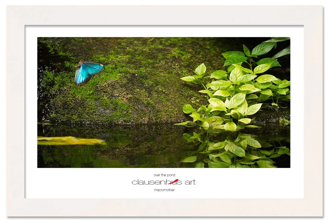 over-the-pond-copy.jpg
