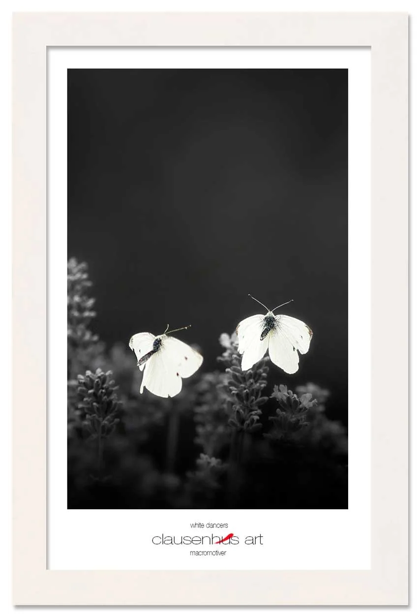 white-dancers-copy.jpg