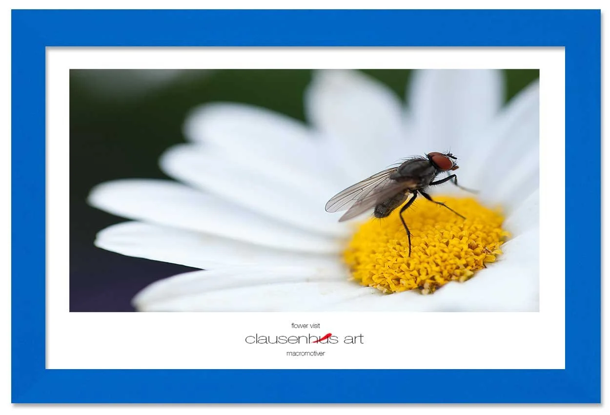 flower-visit-copy.jpg