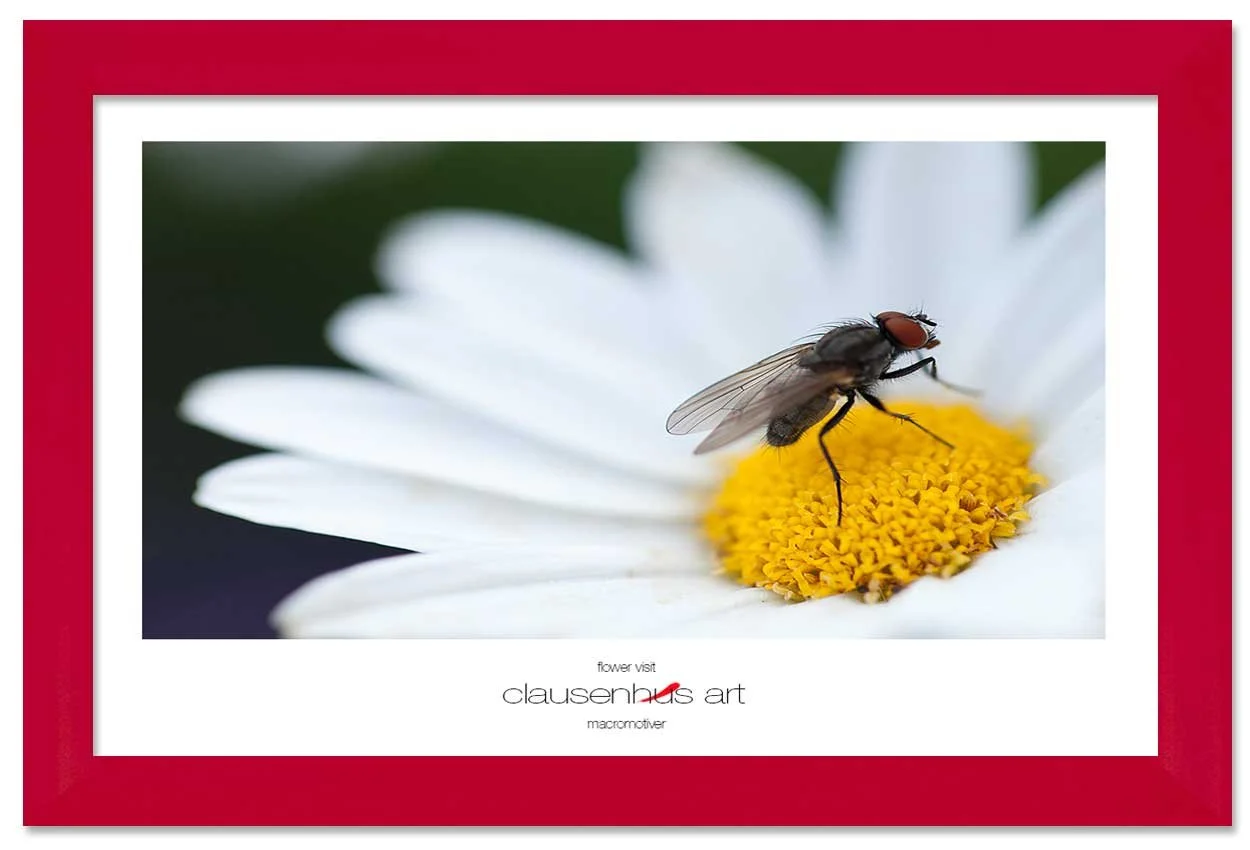 flower-visit-copy.jpg